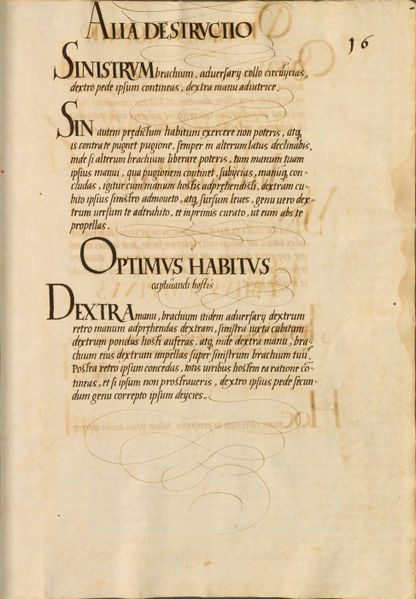 File:Cod.icon. 393 II 302r.jpg