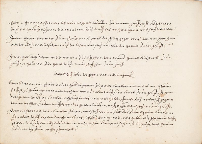 File:MS Bibl. 2465 049v.jpg