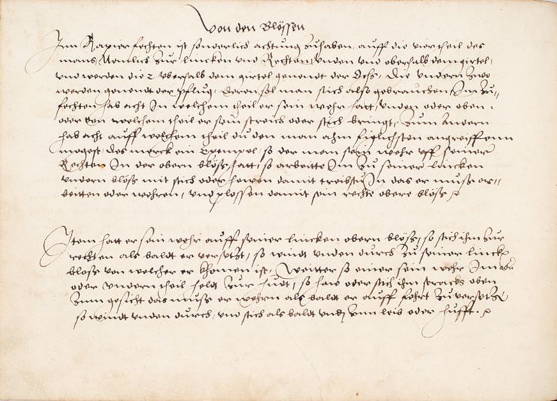 File:MS Bibl. 2465 048v.jpg