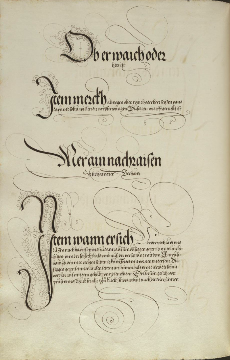 MS Dresd.C.93 158v.png
