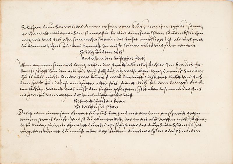 File:MS Bibl. 2465 019v.jpg