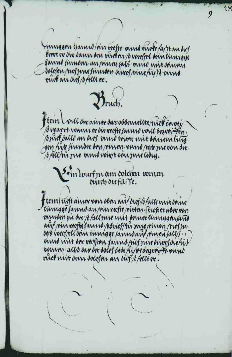 Cod.10825 253r.jpg
