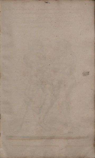 File:2º Cod.MS.Philos.62 88r.jpg