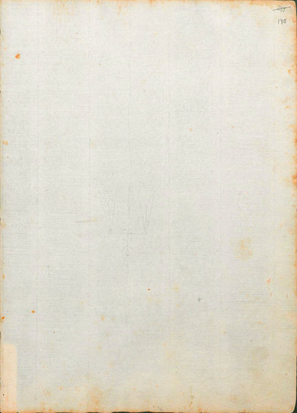 File:MS Chart.A.558 140r.jpg