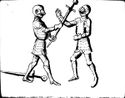 Cod.11093 29v.jpg