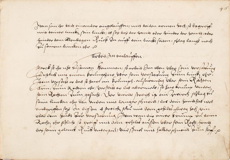 File:MS Bibl. 2465 046r.jpg