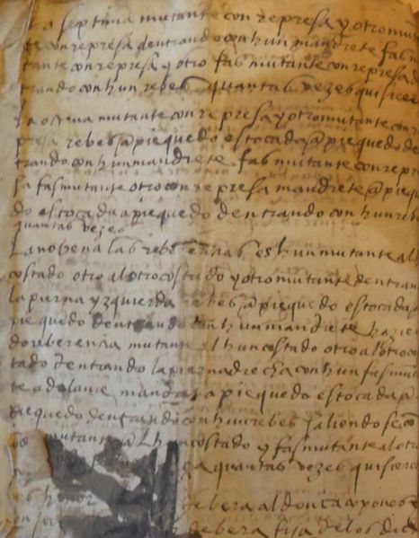 File:MS 2790 95v.jpg