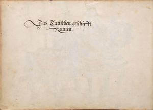 MS 22.229 014v.jpg