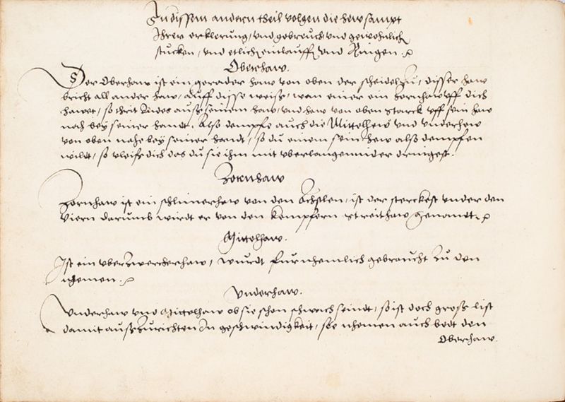 File:MS Bibl. 2465 036v.jpg