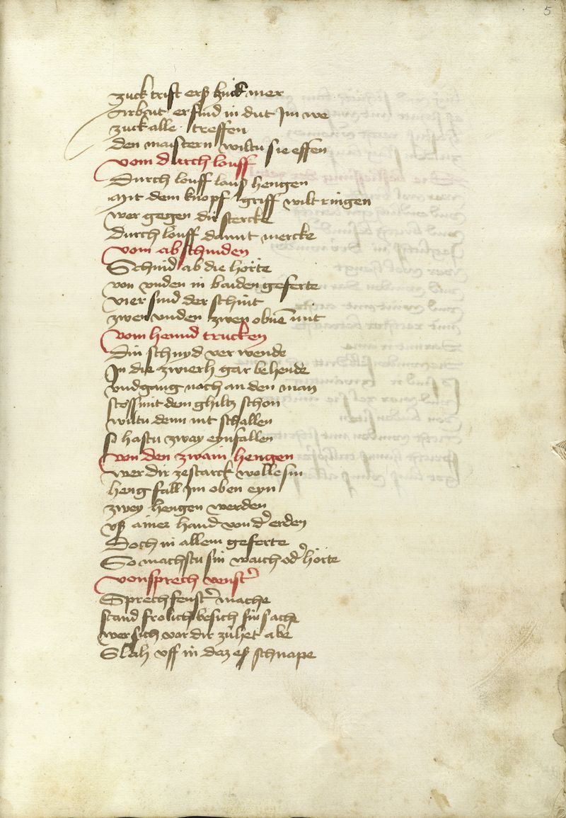 MS Thott.290.2º 005r.jpg