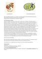 Thumbnail for version as of 03:34, 7 February 2025