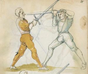 Libr.Pict.A.83 25r-a.jpg