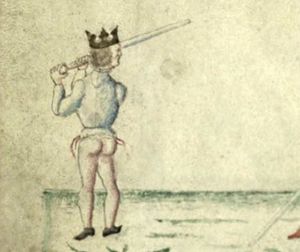 Cod.1324 17v-a.jpg