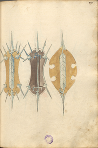 MS B.26 049r.png