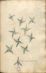 MS B.26 096r.png