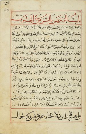 MS Arabe 2824 44r.jpg