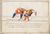 Cod.Guelf.83.4 Aug.8º 017r.jpg