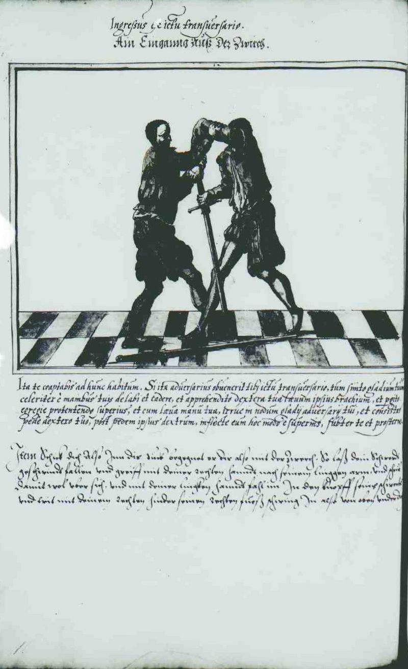 Cod.10825 66v.jpg