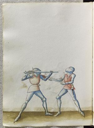 MS CL23842 161v.jpg