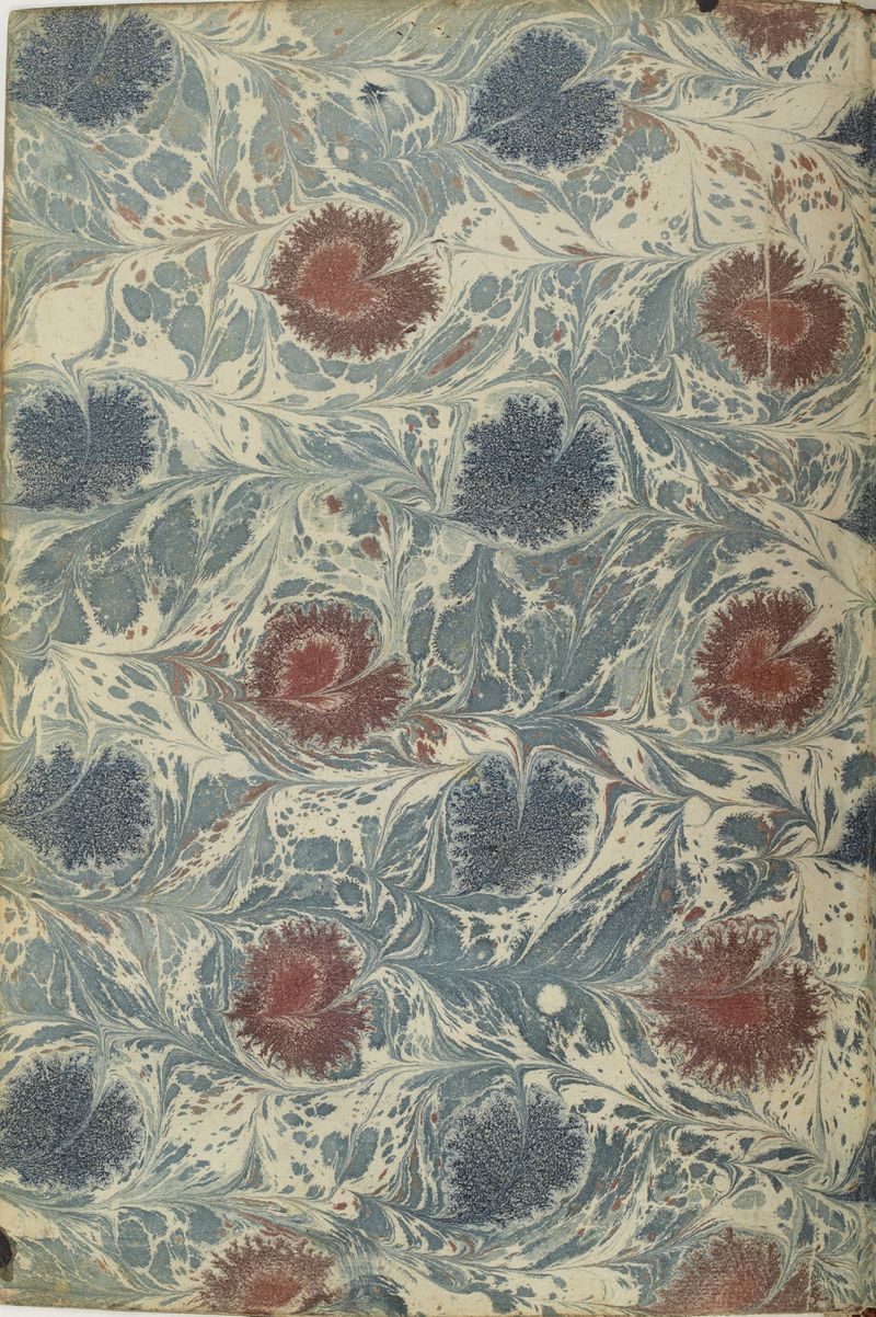 MS Arabe 2824 Ir.jpg