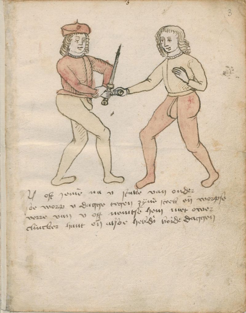 MS BPL.3281 03r.jpg
