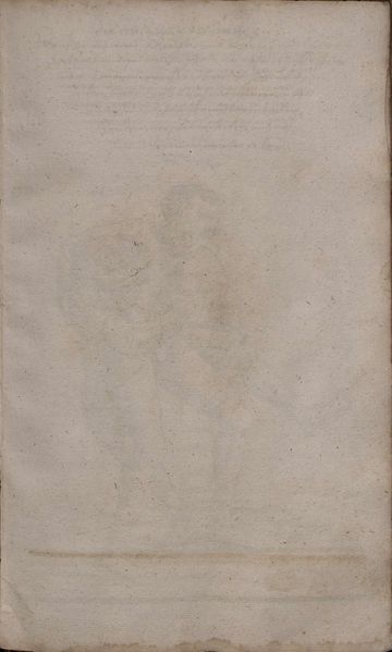 File:2º Cod.MS.Philos.62 74r.jpg