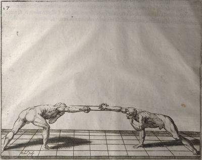 Scienza d'Arme (Fabris) 007.jpg
