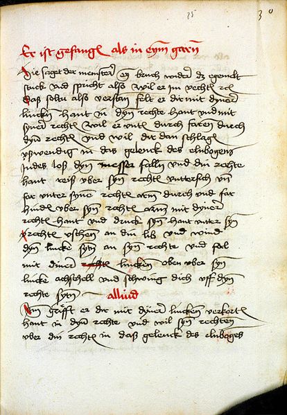 File:MS M.I.29 075r.jpg