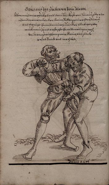 File:2º Cod.MS.Philos.62 47v.jpg