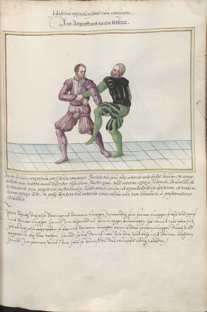 Cod.10826 081r.png