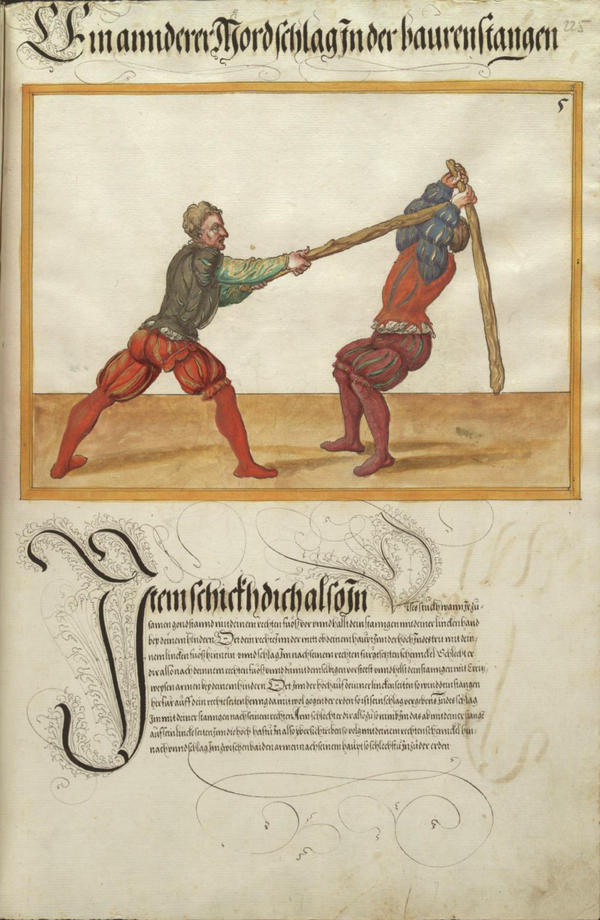 MS Dresd.C.93 225r.png