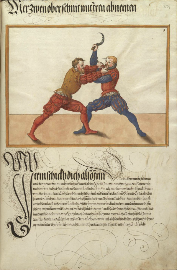 MS Dresd.C.93 239r.png