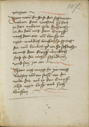 MS Dresd.C.487 107r.png