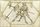 MS Thott.290.2º 135r.jpg