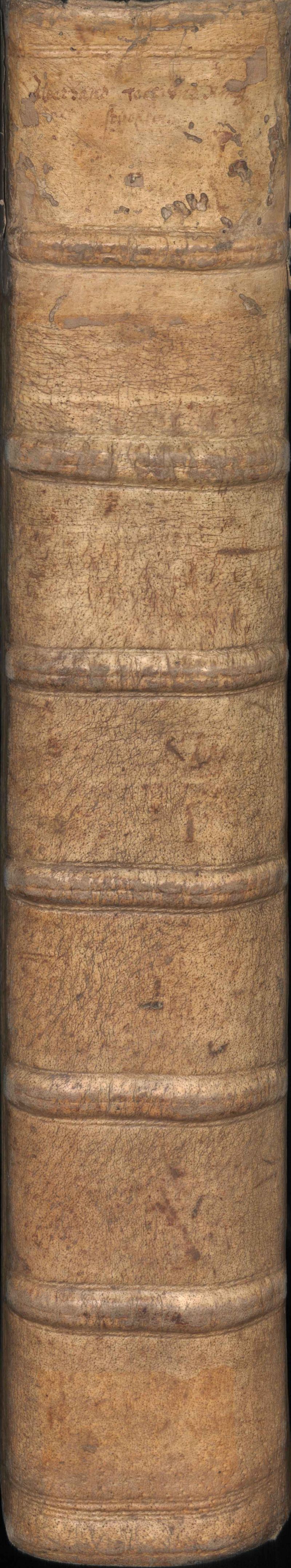 Cod.10799 Cover 5.jpg