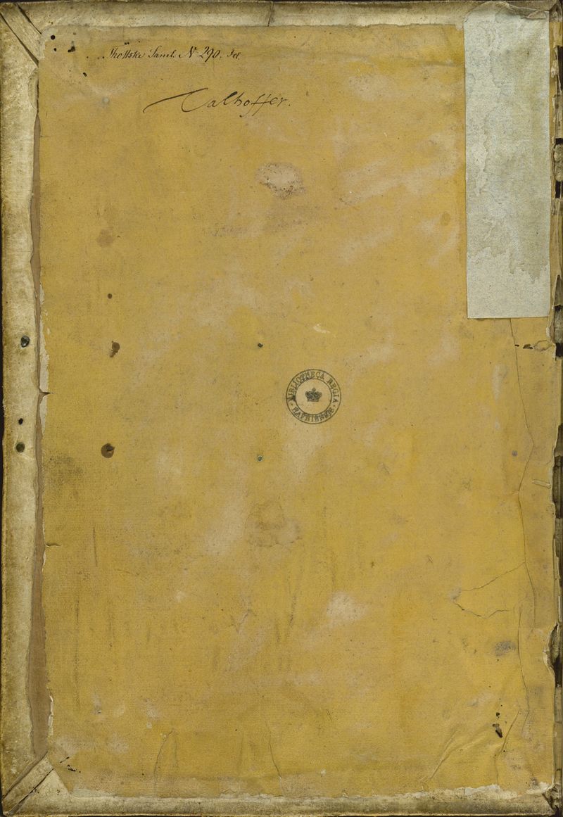 MS Thott.290.2º Cover 2.jpg