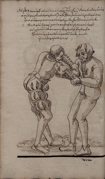 File:2º Cod.MS.Philos.62 35v.jpg