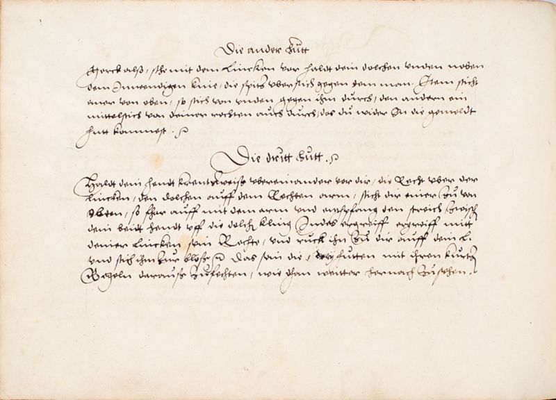 File:MS Bibl. 2465 067v.jpg