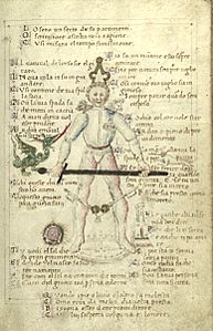 Cod.1324 15r.jpg