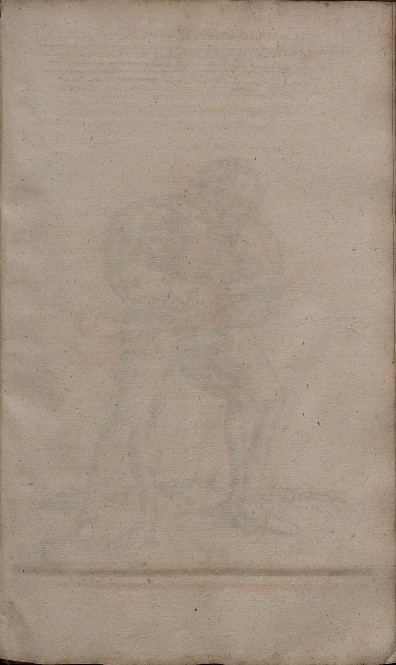 2º Cod.MS.Philos.62 72r.jpg