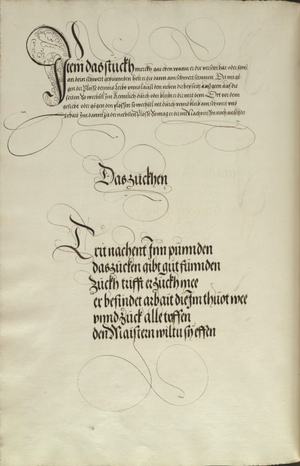 MS Dresd.C.93 105v.png