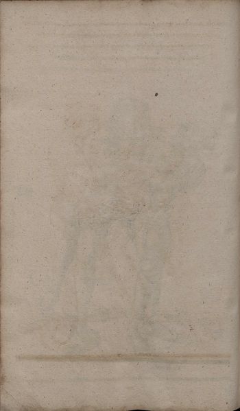 File:2º Cod.MS.Philos.62 88v.jpg