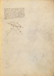 MS M.383 17r.png