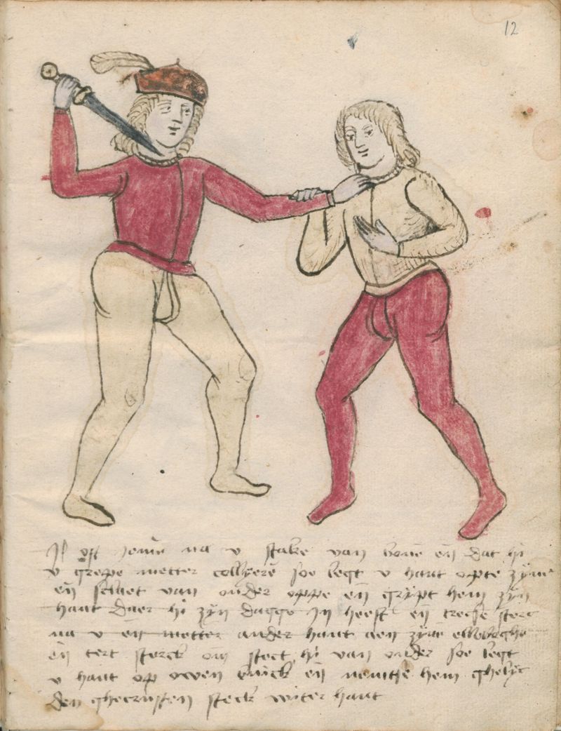 MS BPL.3281 12r.jpg