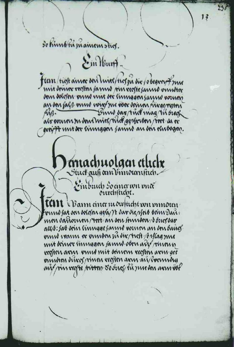 Cod.10825 257r.jpg