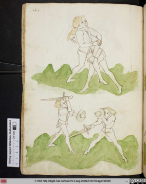 Cod.Guelf.78.2 Aug.2º 114v.png