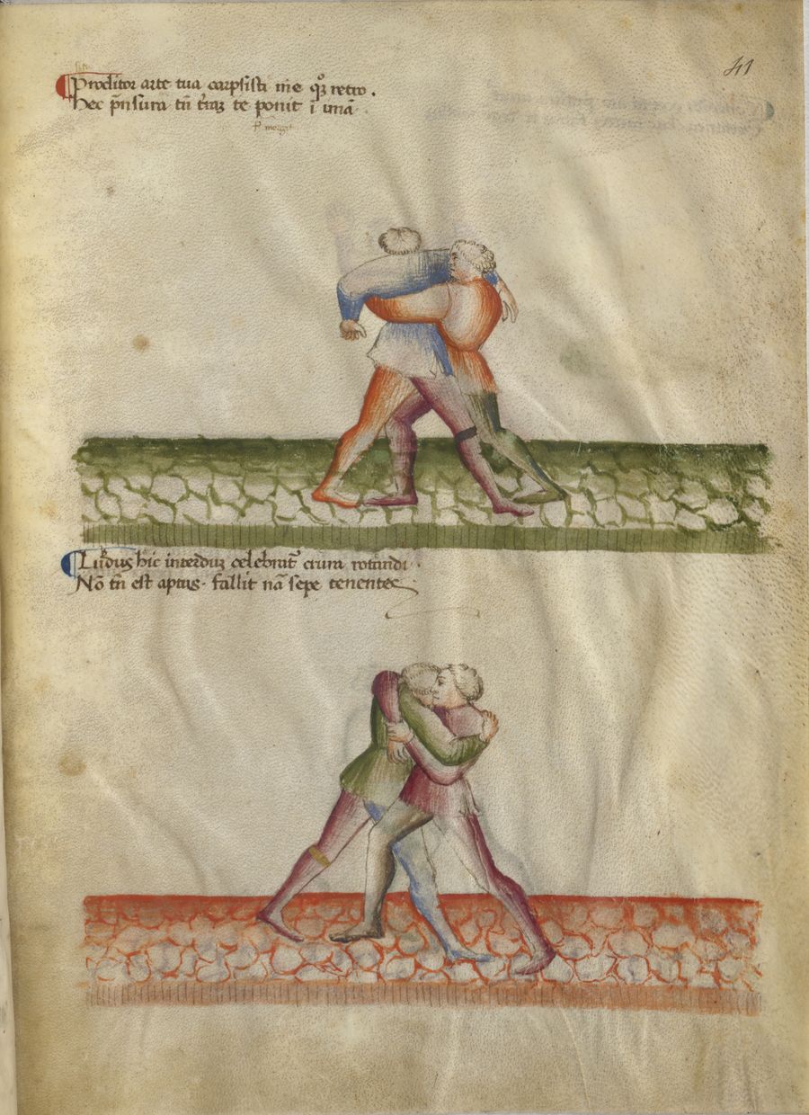 MS Latin 11269 41r.jpg