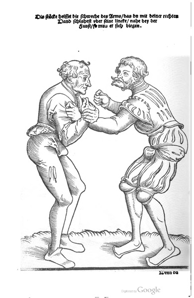 File:Ringer Kunst (Fabian von Auerswald) 1539.pdf