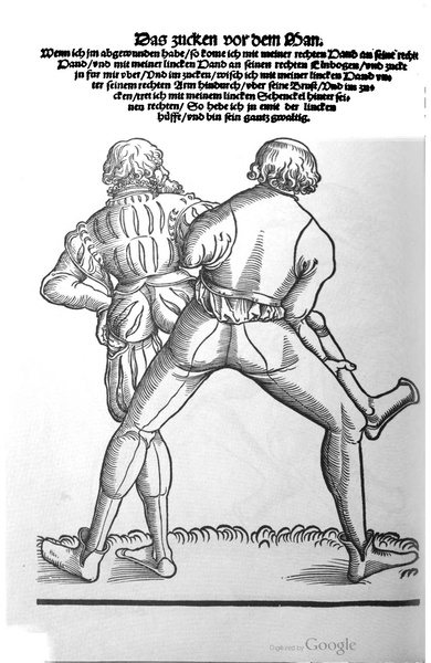 File:Ringer Kunst (Fabian von Auerswald) 1539.pdf