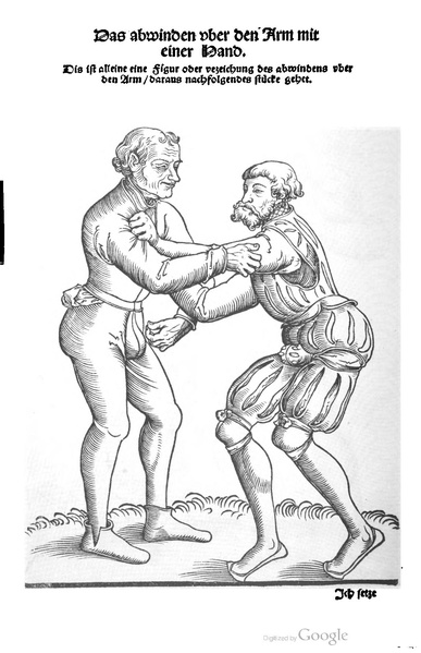 File:Ringer Kunst (Fabian von Auerswald) 1539.pdf